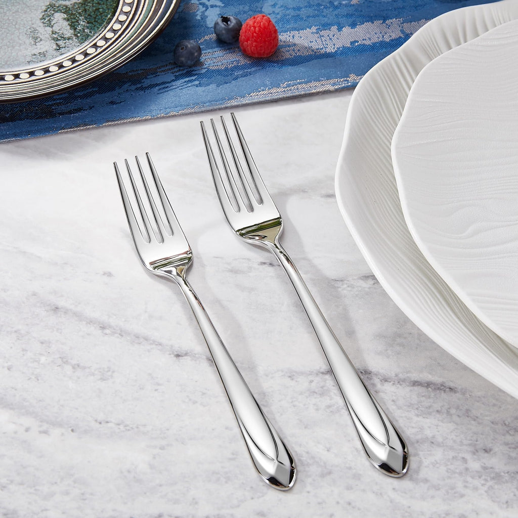 Premium Astra 20/45/65-Piece Silverware Set (20, Silver)