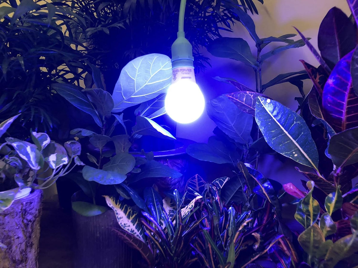 6.5K Indoor Grow Light Bulb - 6500K Blue Spectrum Grow Bulbs for Vegetables, Herbs, Hydroponics. (2-Pack)