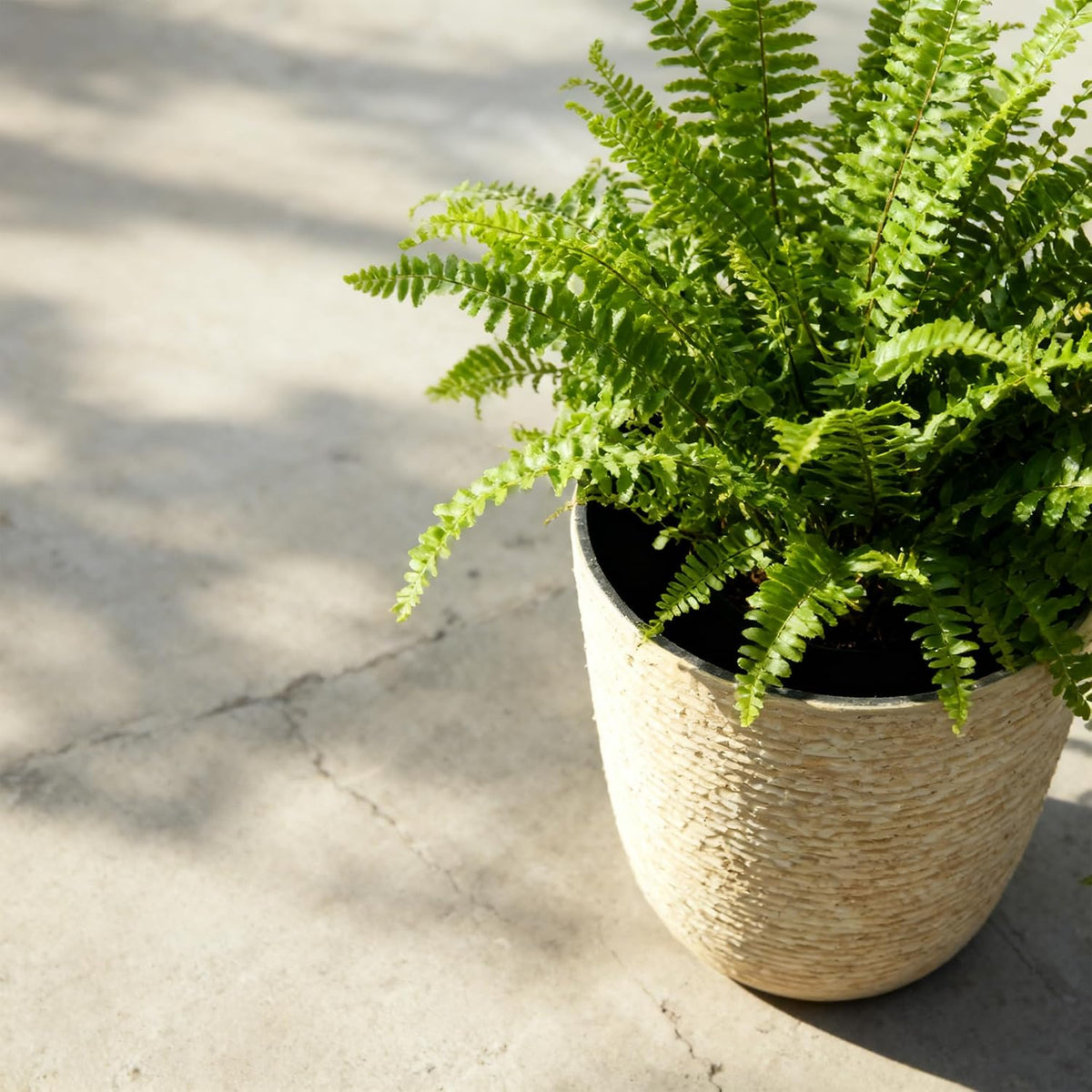 9 Gallon Tall Round Planters Set of 2-14" Dia x 21" H Stone Finish Flower Pots Indoor Decorative Container Garden