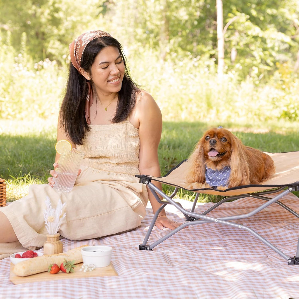 Elevated Dog Bed, Folding Dog Cot for Large Dogs up to 95 lbs, Portable Raised Pet Bed for Indoor & Outdoor Use