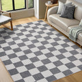 Washable Rug 5x7 ft Checkered Rug, Grey and White Area Rug, Boho Large Rugs, Low Pile Lightweight Indoor Carpet with