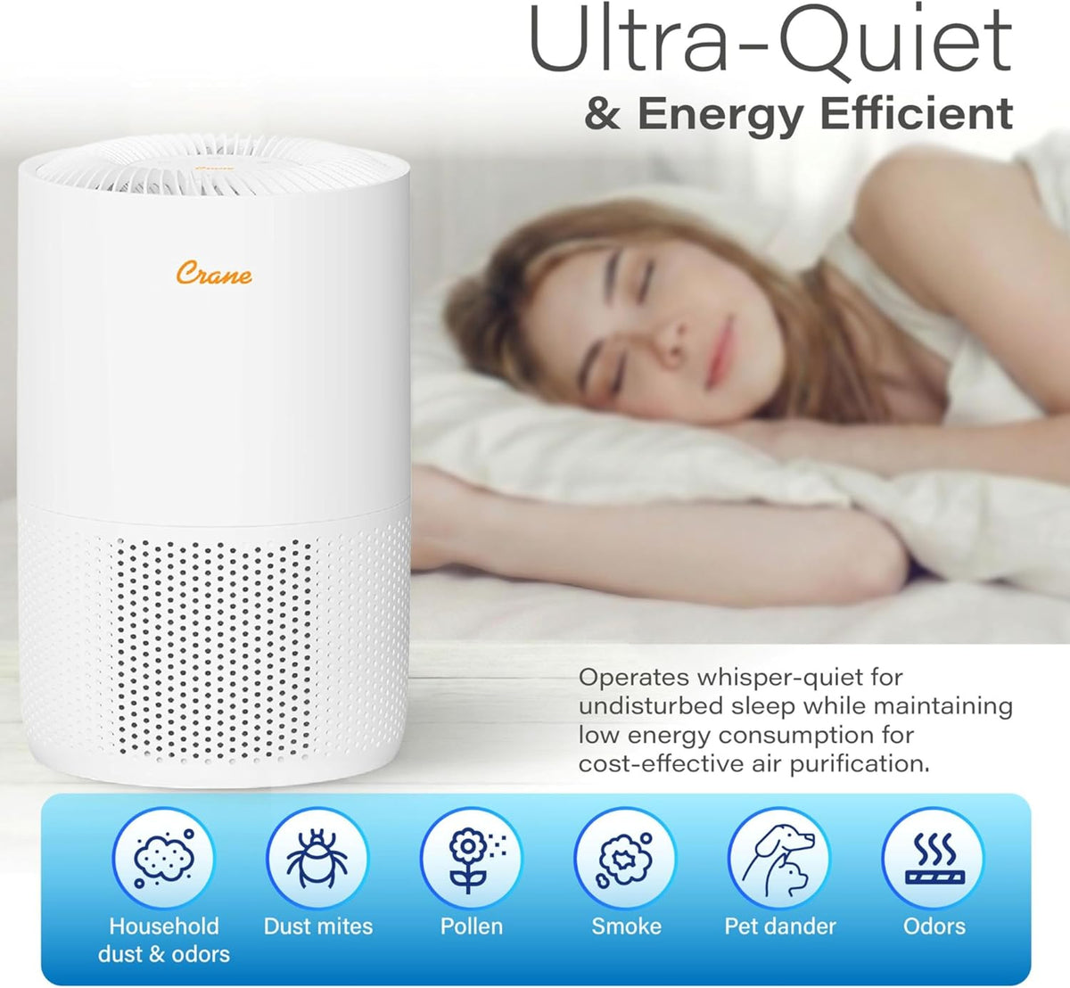 True HEPA Air Purifiers for Home, Up To 300 Sq Ft, Air Purifiers For Bedroom, and Office, Removes Dust, Smoke, Pet