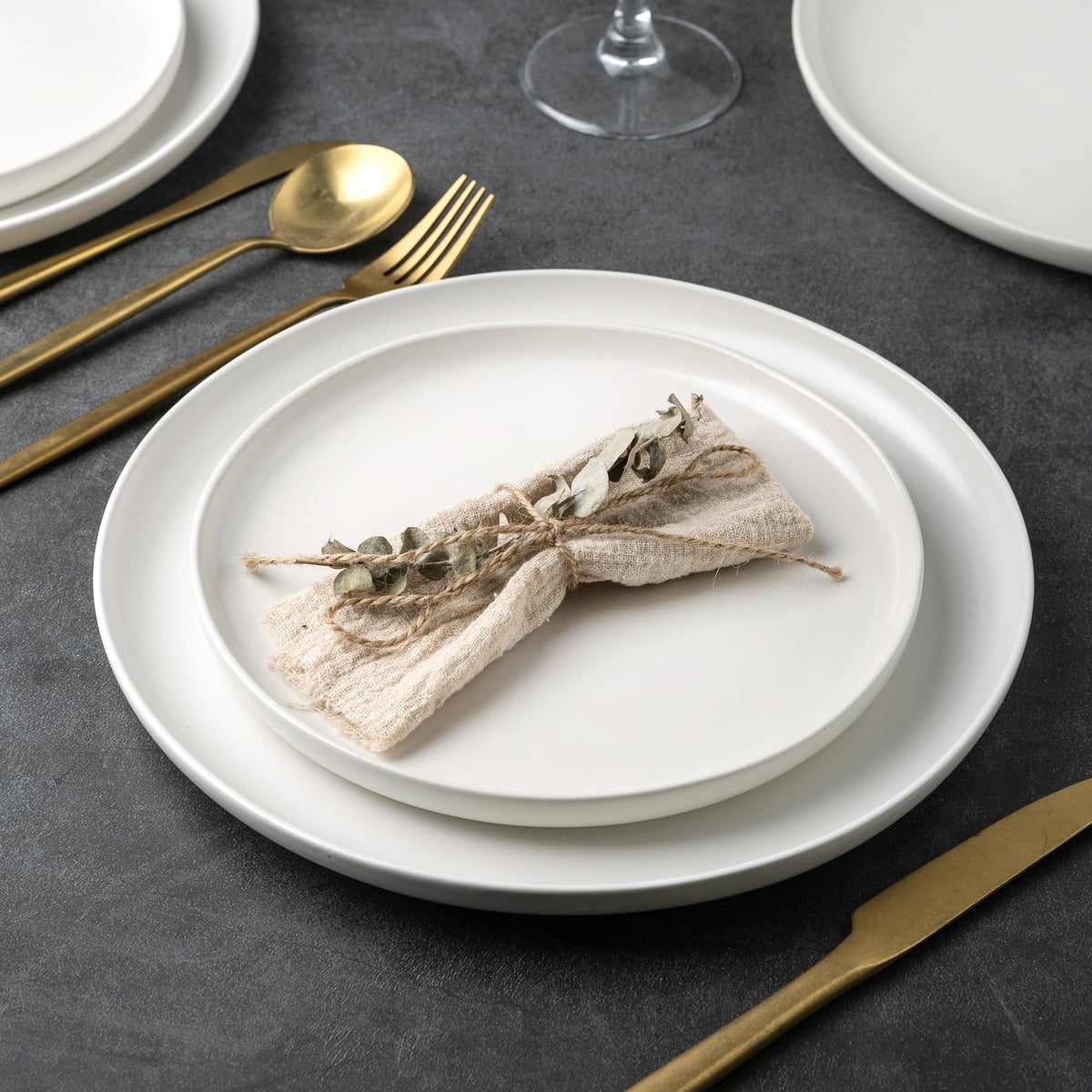 Ceramic Dinner Plates Set of 6, 10.25 Inch Stoneware Dishes Set