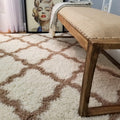 Shag Area Rug, New Moroccan Trellis Ivory, Everyday Use, (60 inch x 84 inch)