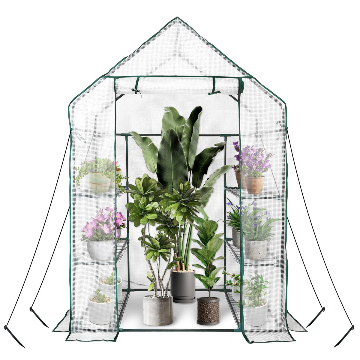 Walk in Greenhouse with 3 Tier 6 Shelves, 2 More Bottom Shelves Reinforced Plant House, Growhouse/Green House for