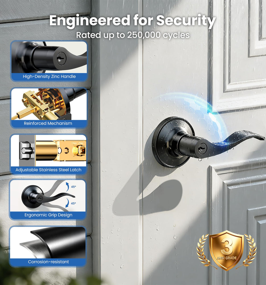 2 Pack Keyed Alike Entry Door Handles with Locks & Keys, Matte Black