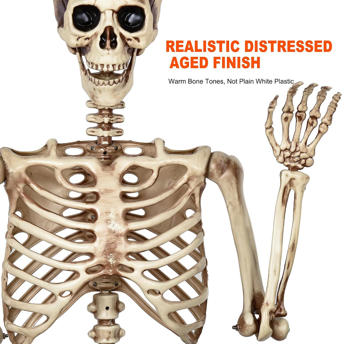 5.4ft Life Size Skeleton,Poseable Halloween Giant Skeletons Decorations Outdoor,Full Body Human Bones with Movable