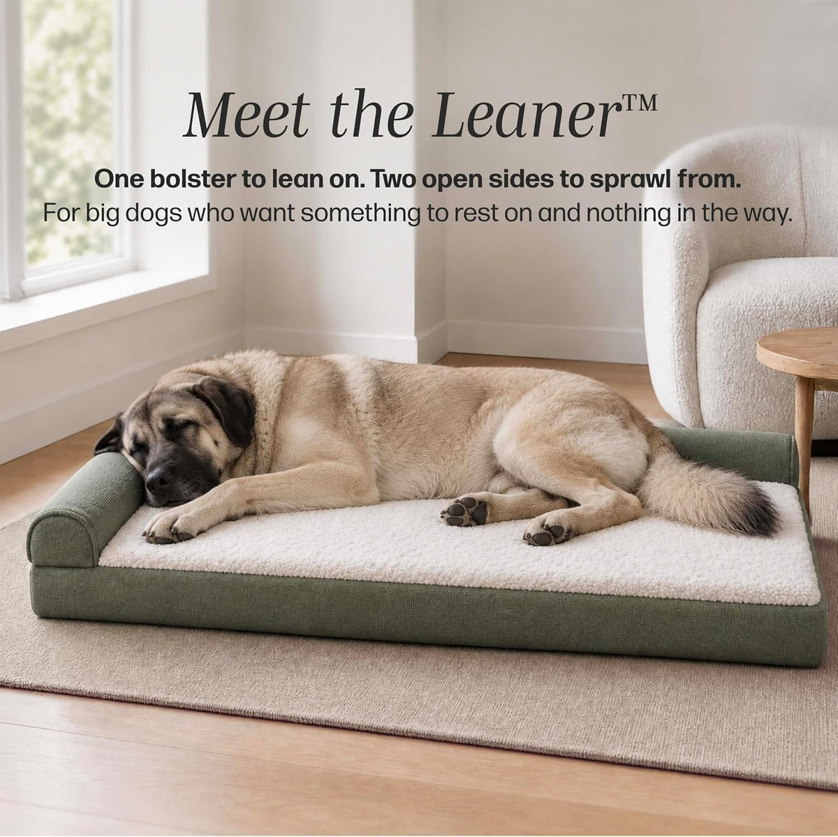 Leaner Orthopedic Chaise Dog Bed, L-Shaped Bolster, Jumbo+, Sage