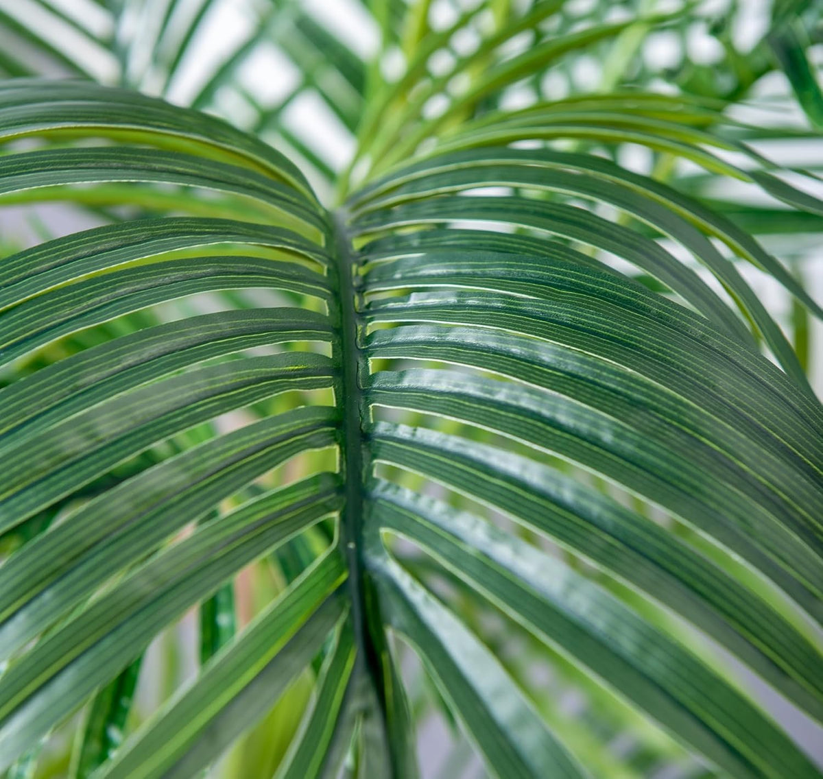 6FT Artificial Palm Tree,Faux Areca Palm Plant with Real Touch Leaves and Adjustable Branches,Fake Tropical Palm Tree