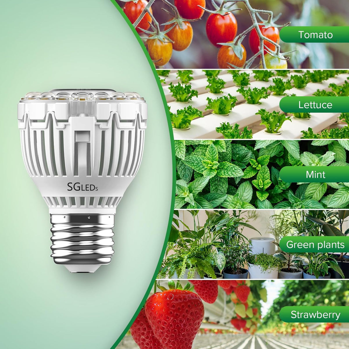 Dimmable Grow Light Bulb for Indoor Plants, Full Spectrum with Remote Control, Auto On Off Timing 4 8 12 Hrs, 10W