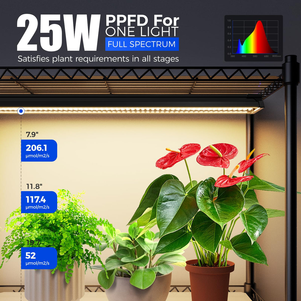 Indoor Greenhouse with Grow Lights 5-Tier 100W 23.6x13.8x59IN