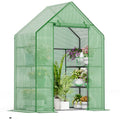 Walk in Greenhouses, 57 x 29 x 76 inch Green House, Greenhouse for Outdoors with Durable PE Cover, Portable