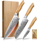 Damascus Kitchen Knife Set, 3 PCS Japanese Chef Knife Set, 67-Layers Damascus Knife with Original Olive Wood Handle