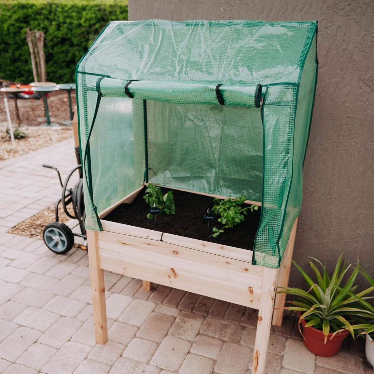 Expressions 36"x24" Elevated Garden Bed with Greenhouse Cover - Raised Wooden Planter Box with Legs, Mini Outdoor