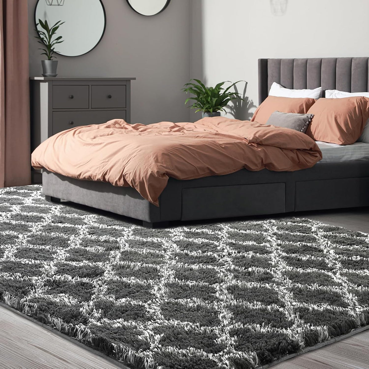 5x7 High Pile Shag Area Rug, Soft Plush Indoor Carpet for Living Room Bedroom Dark Grey