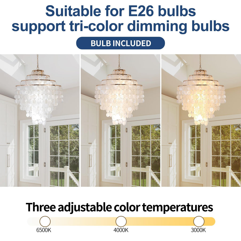 Coastal Capiz Shell Chandelier 24 inch Gold Natural Seashell Farmhouse Boho Chandelier 4-Light Pendant Light Fixture