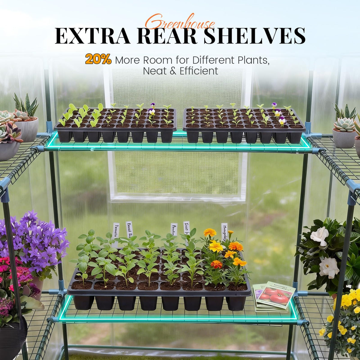 Premium Greenhouse for Outdoors, 56x56x77" Upgraded PVC Cover