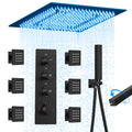 20" LED Ceiling Shower System with 6 Jets & Handheld, Matte Black