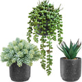 3-Pack Artificial Potted Succulent Plants - Aloe, Hops, String of Pearls - Realistic Faux Plants in Black Cement Pots