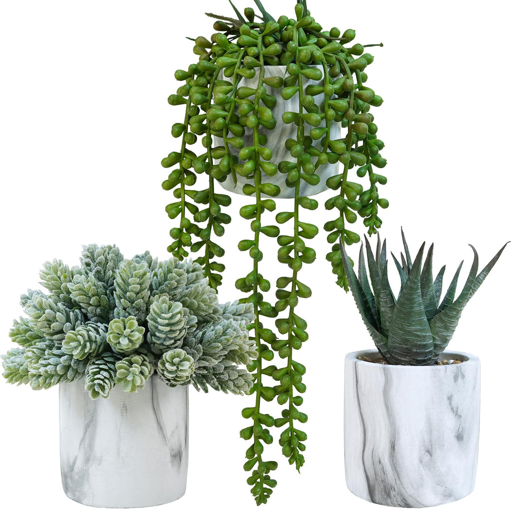 Set of 3 Small Artificial Succulent Potted Plants Fake Aloe Hops String of Pearls in Modern Marble Ceramic Planter