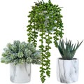 Set of 3 Small Artificial Succulent Potted Plants Fake Aloe Hops String of Pearls in Modern Marble Ceramic Planter