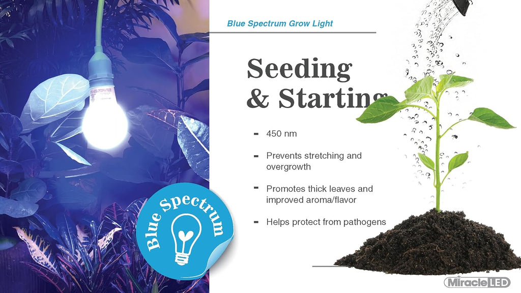 6.5K Indoor Grow Light Bulb - 6500K Blue Spectrum Grow Bulbs for Vegetables, Herbs, Hydroponics. (2-Pack)
