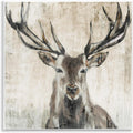 Rustic Deer Elk Wildlife, 24 x 24 Inch Canvas Wall Art