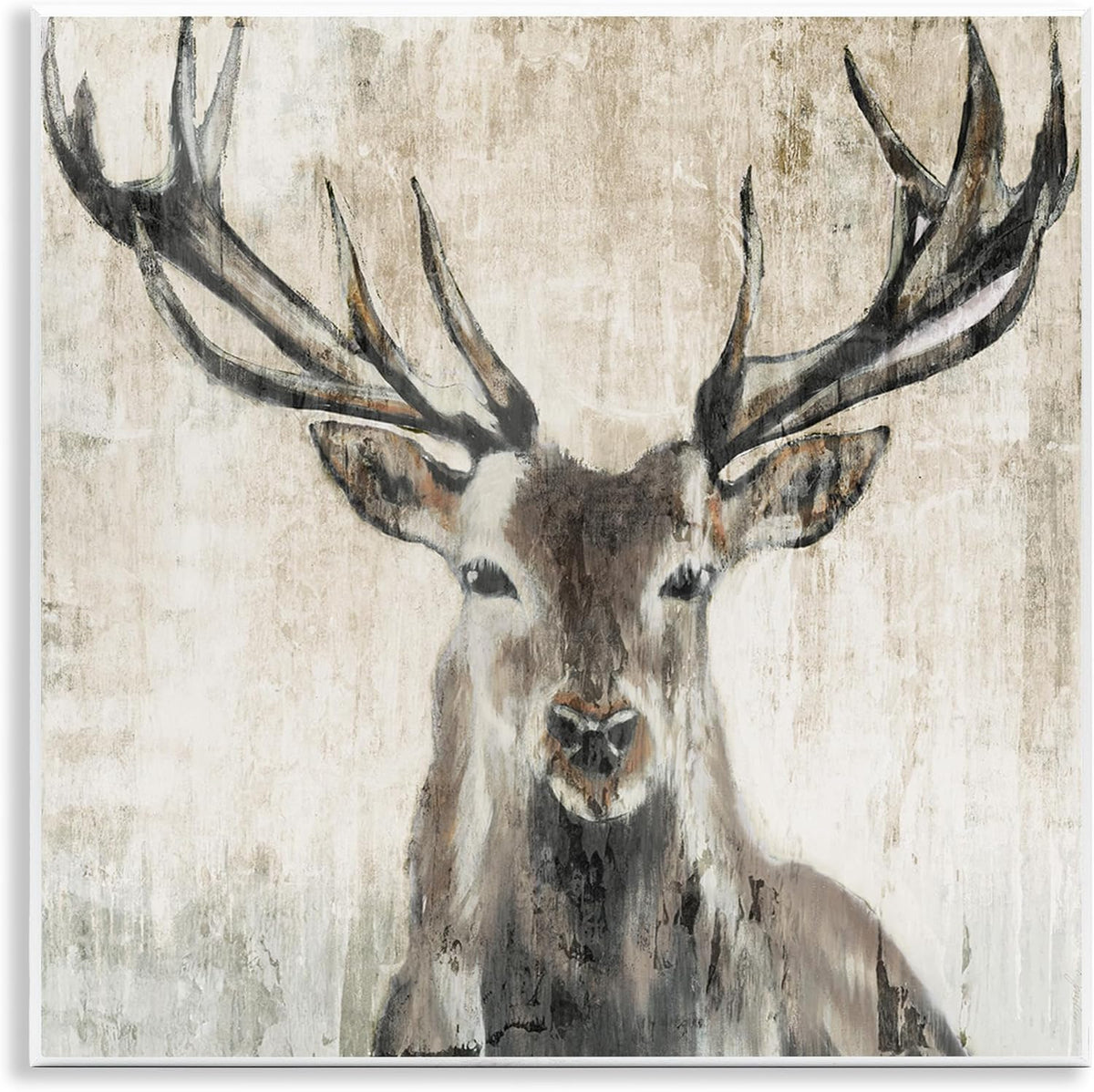 Rustic Deer Elk Wildlife, 24 x 24 Inch Canvas Wall Art