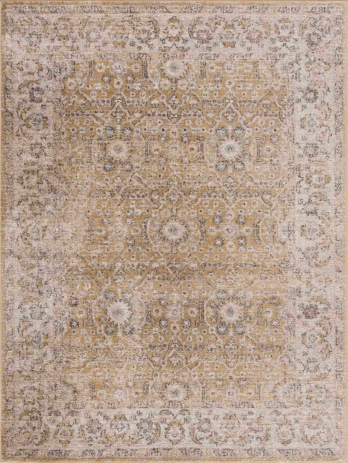 Wagner Living Room, Bedroom Area Rug - Floral Traditional Border Medallion Distressed - Traditional Oriental