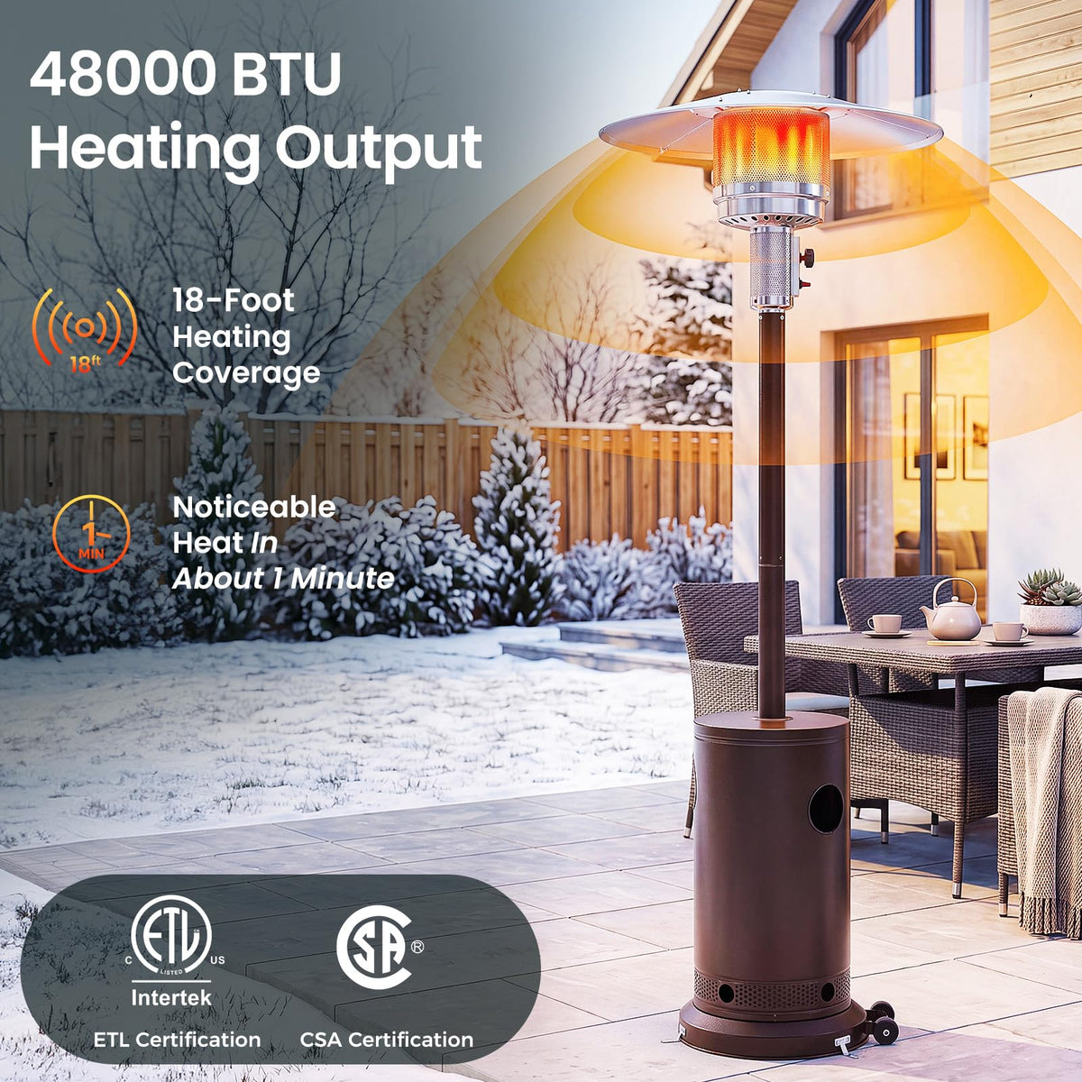 48, 000 BTU, Outdoor Gas Heater
