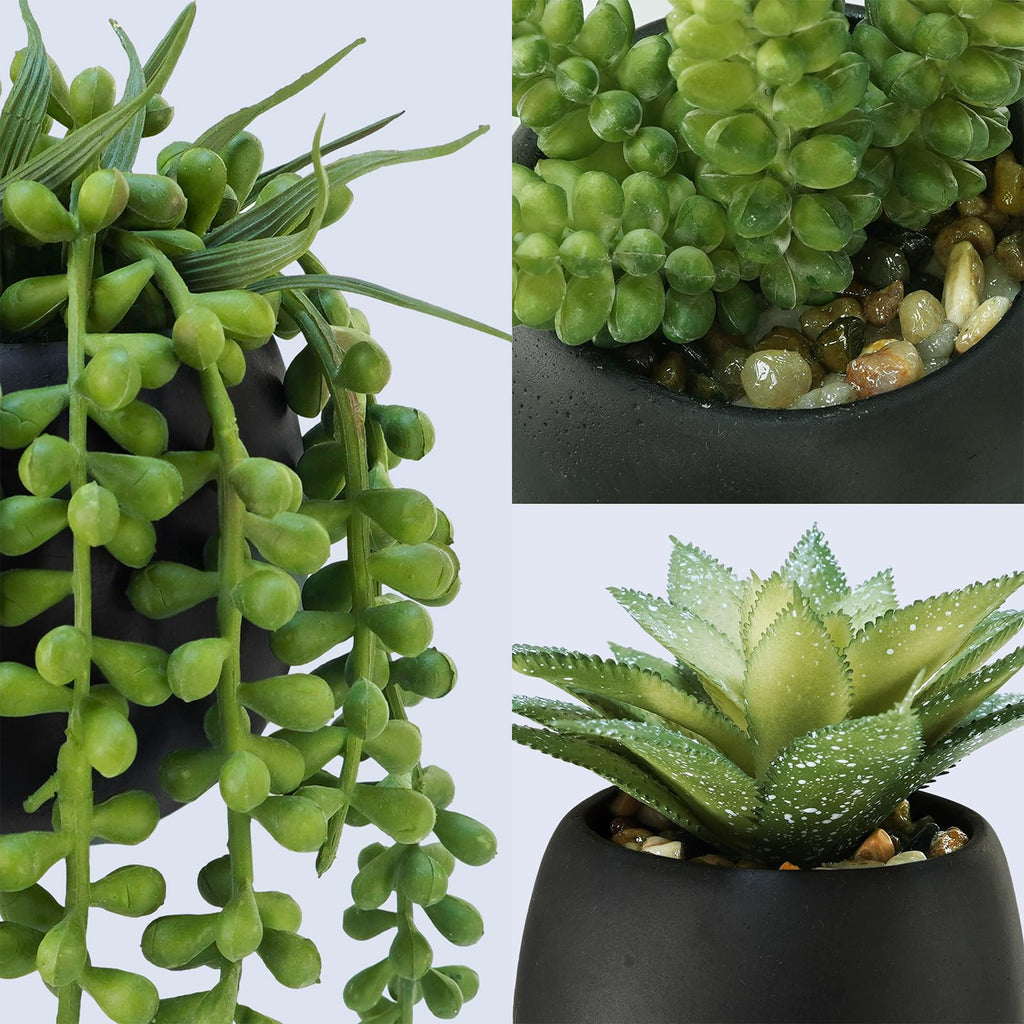 Set of 3 Artificial Succulents Plants in Black Cement Planters Faux Potted Plants Aloe String of Pearls Donkey Tail