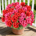 Artificial Geraniums Fake Flowers for Outdoor, 6 PCS UV Resistant Faux Plant