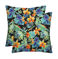 Square Throw Pillows Set of 2, 20" x 20", Outdoor Pillows, Beachcrest Caviar, Made in USA