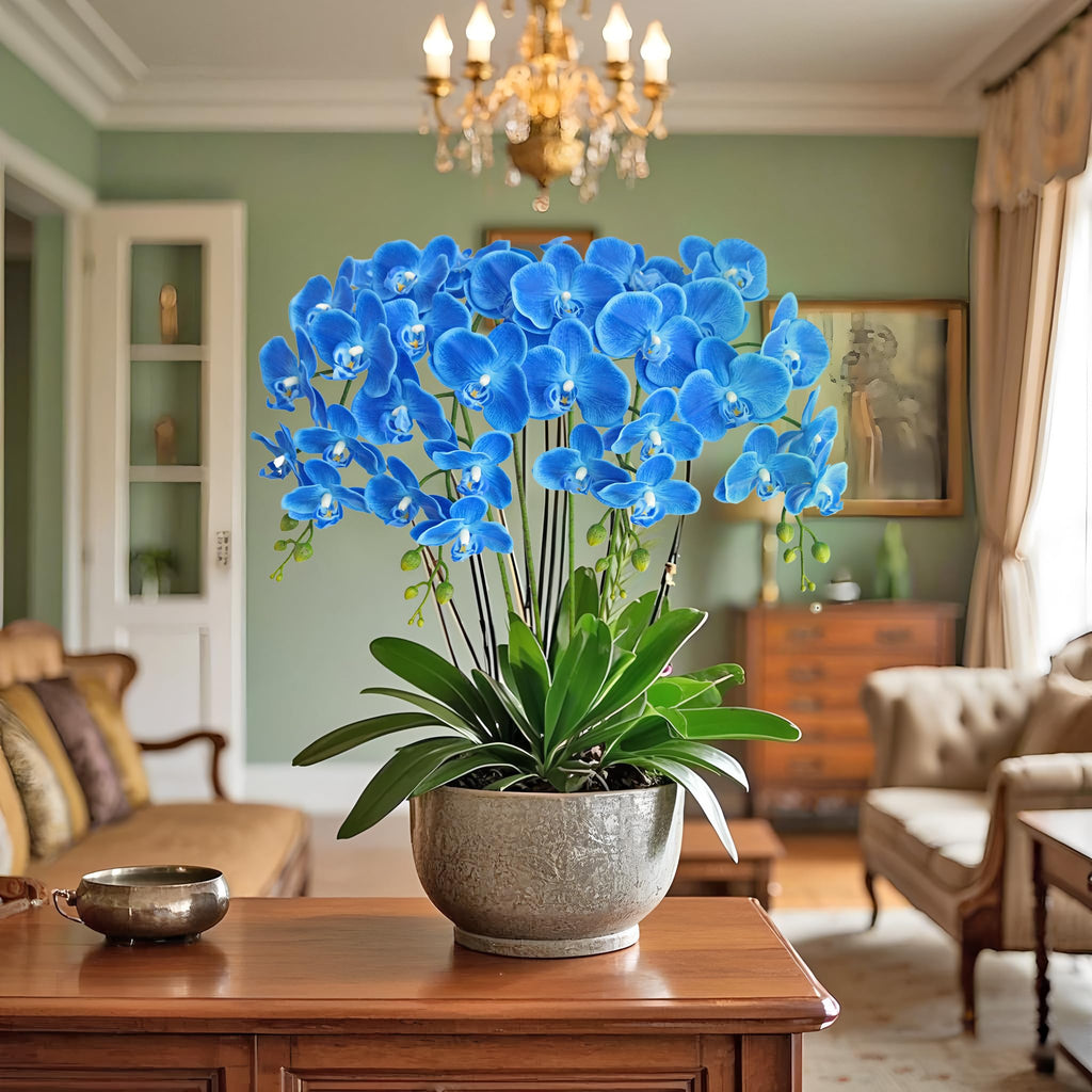 38 Inch Artificial Phalaenopsis Branches Real Touch (Not Silk) Orchids Wedding Decoration, Pack of 2 (Dark Blue)