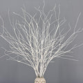 10PCS Artificial White Birch Branches, Bendable Winter Twigs Stems