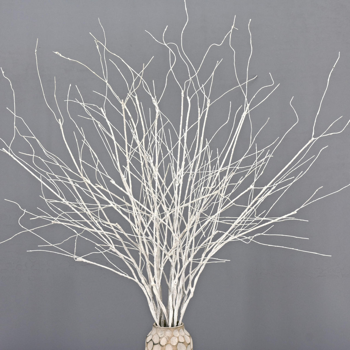 10PCS Artificial White Birch Branches, Bendable Winter Twigs Stems