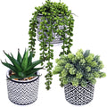 3 Pcs Small Potted Succulents Plants Artificial String of Pearls Aloe Hops Succulents in Black Geometric Concrete