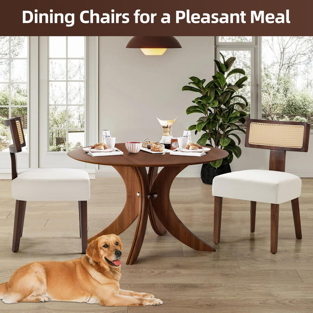 Upholstered Rattan Dining Chairs Set of 2, Mid-Century Modern Fabric Dining Room Chairs with Brown Hardwood Frame