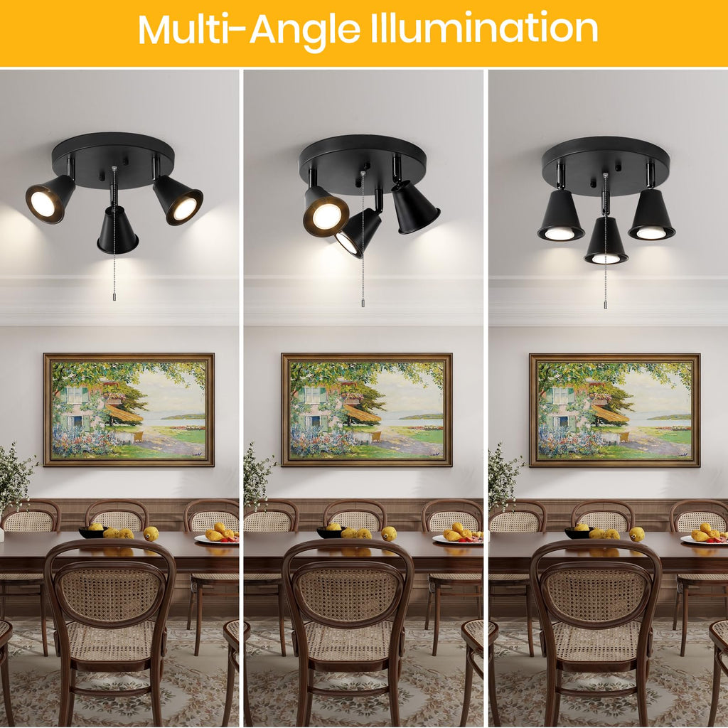 Industrial Directional Track Lighting with Pull Chain On/Off, Black Ceiling Spotlight, Morden Flush Mount
