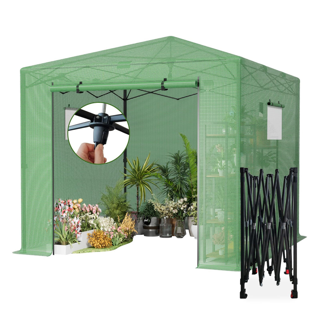 10x10 FT Pop Up Greenhouse for Outdoors, Walk-in Greenhouse with PE Cover