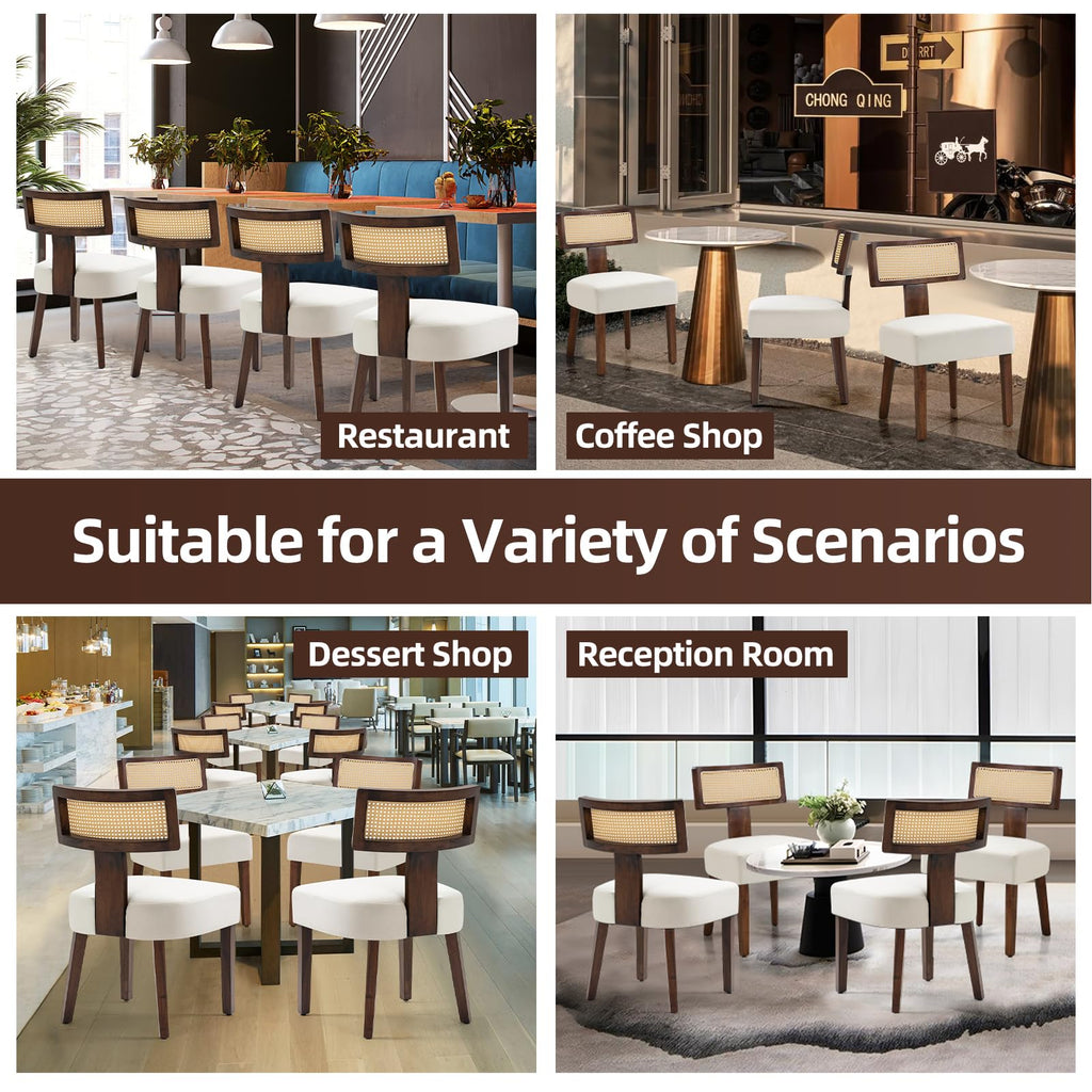 Upholstered Rattan Dining Chairs Set of 2, Mid-Century Modern Fabric Dining Room Chairs with Brown Hardwood Frame