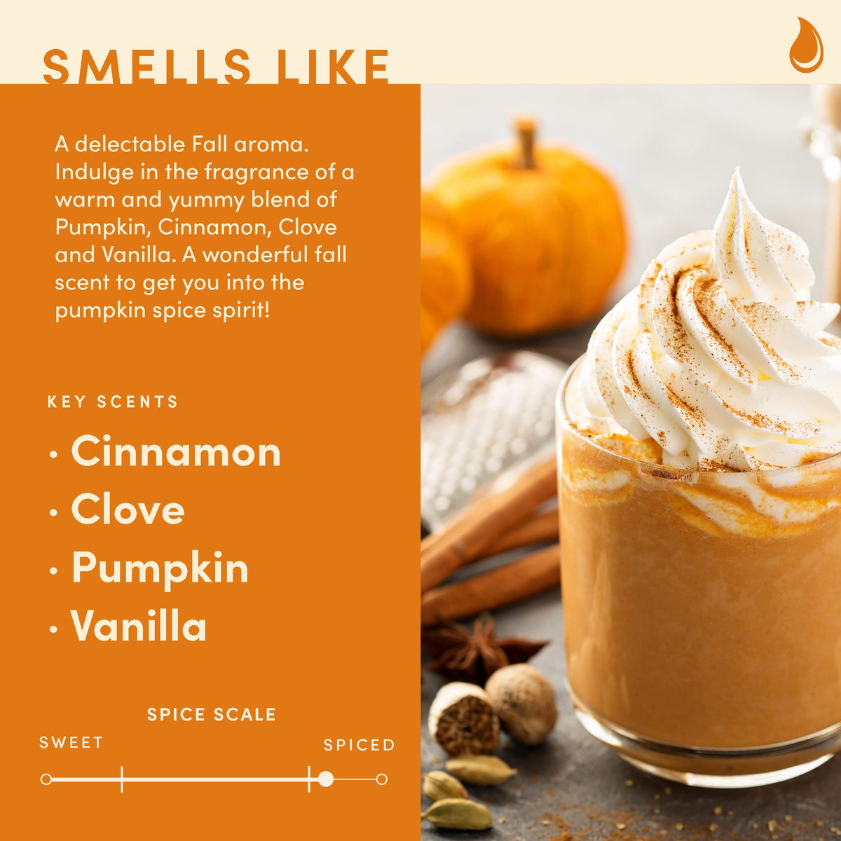 Pumpkin Spice Fall Candles, 9 oz Scented Soy Jar