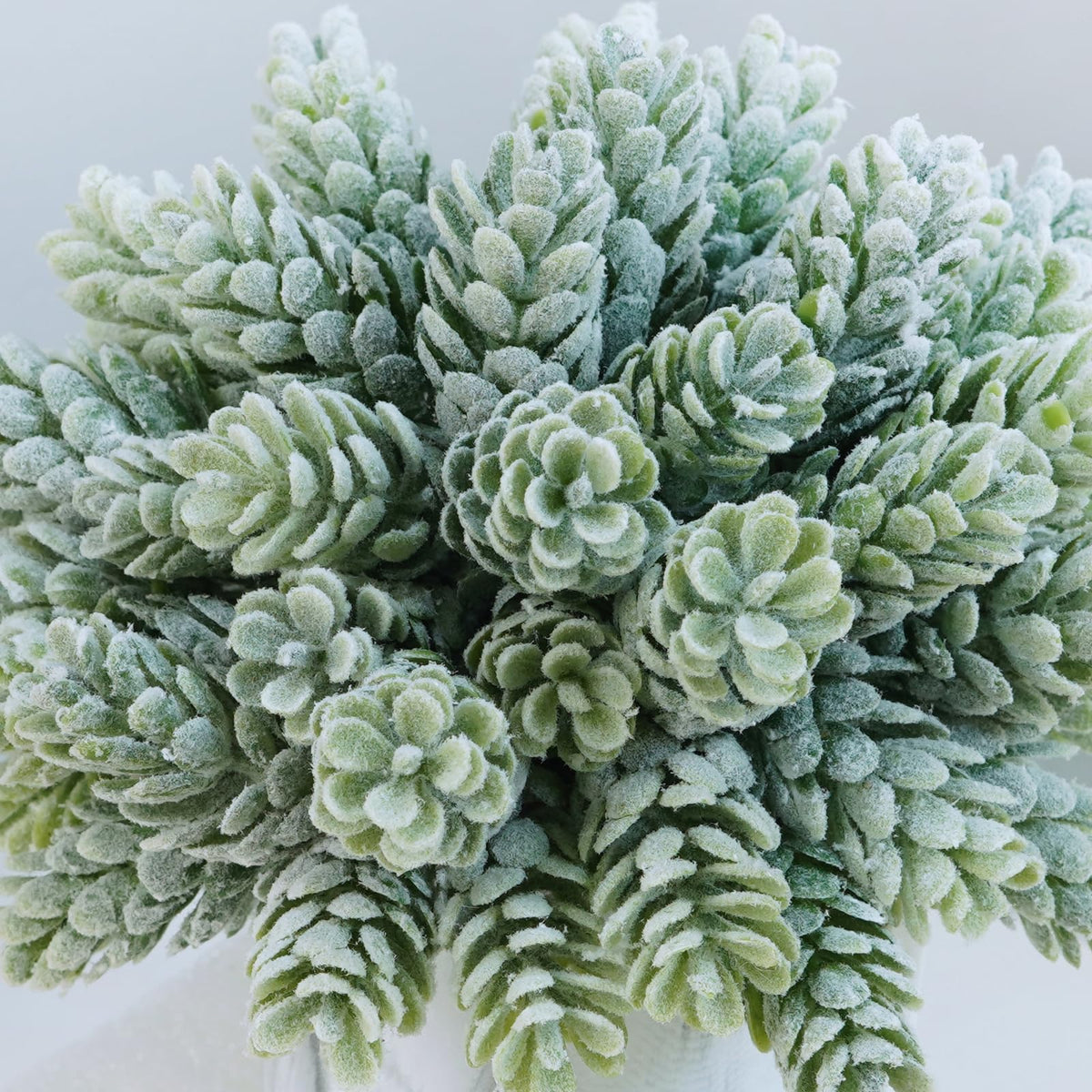 Set of 3 Small Artificial Succulent Potted Plants Fake Aloe Hops String of Pearls in Modern Marble Ceramic Planter