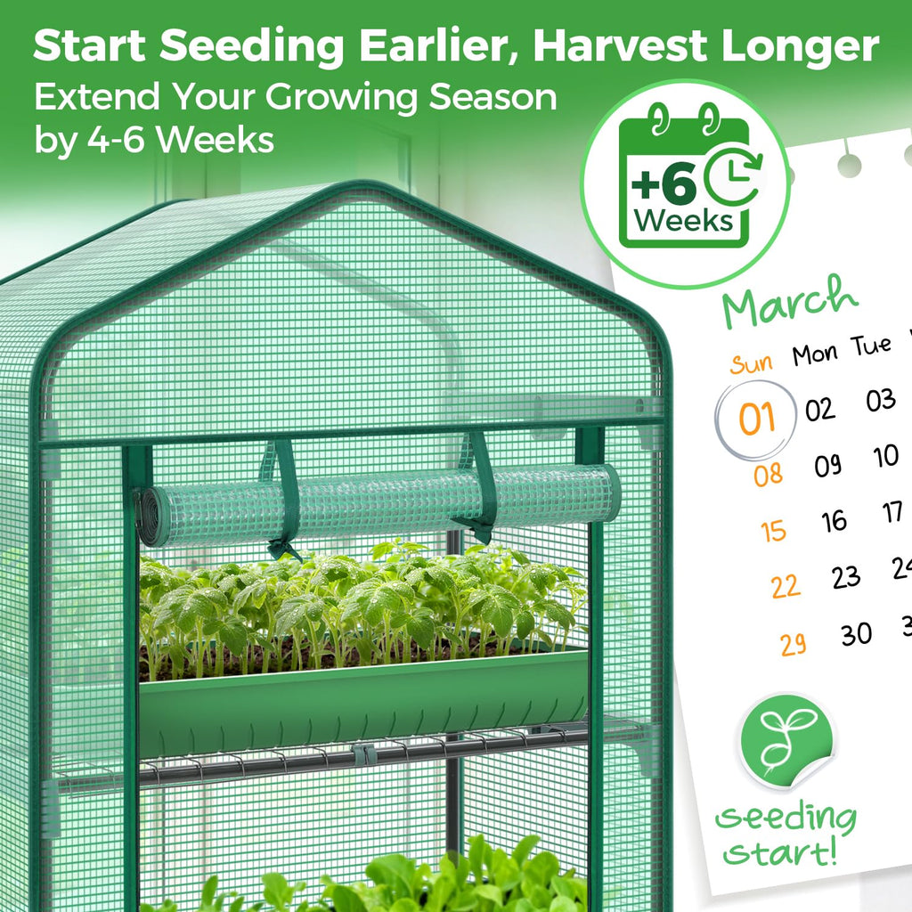 5 Tier Mini Greenhouse for Indoor Outdoor, Durable PE Cover, Seedling