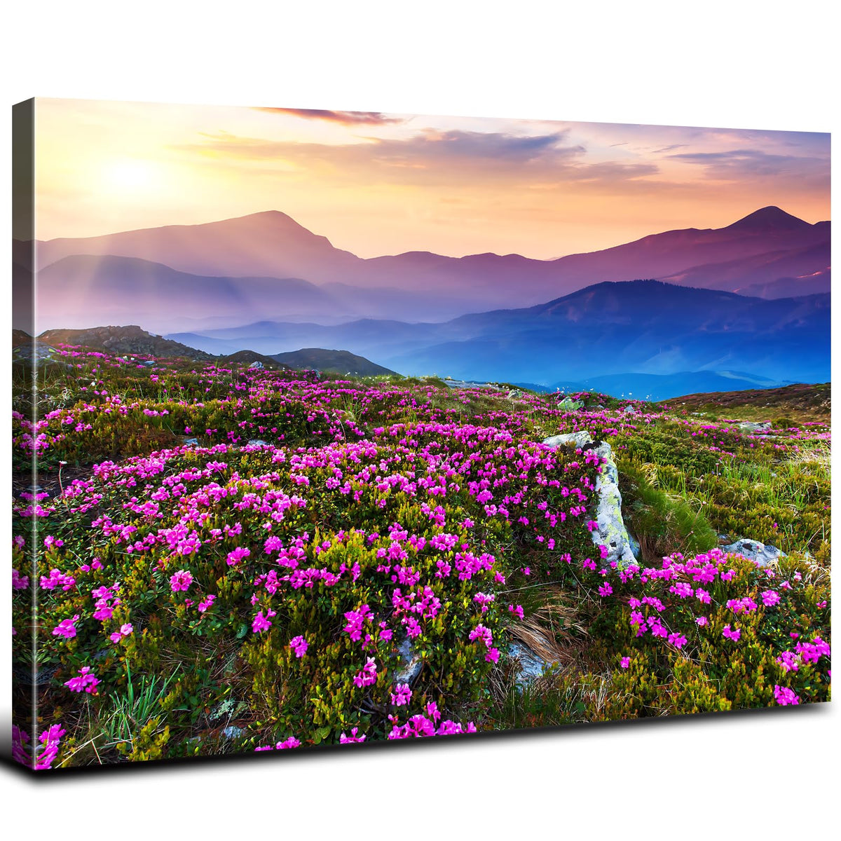 Nature Wall Art Mountains Sunrise Photo Wall Decor National Park Scenery Poster Purple Flowers Aesthetics Canvas