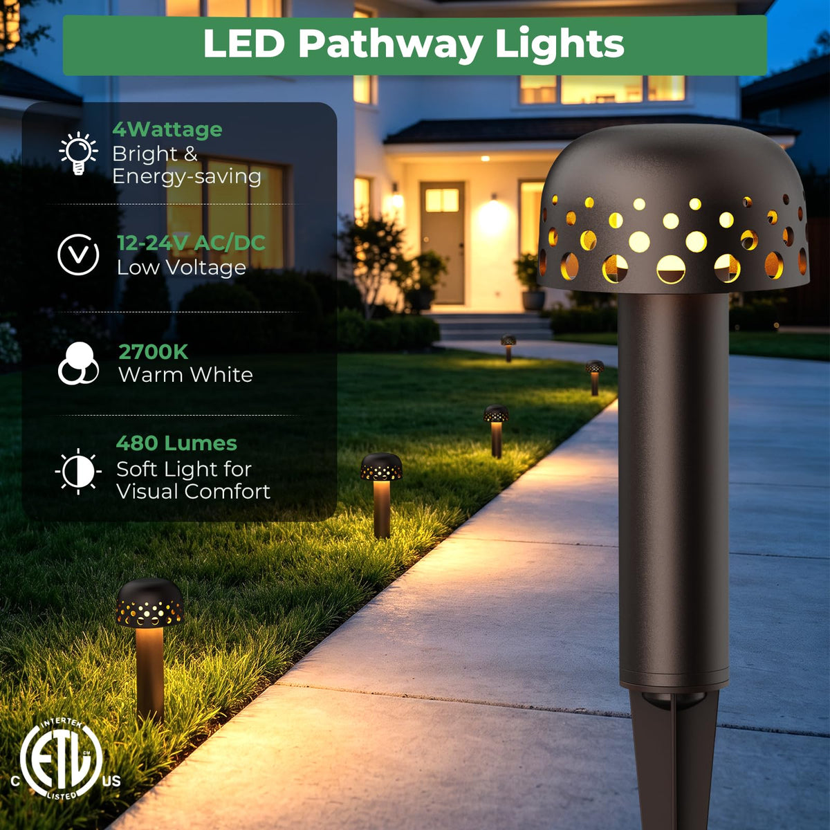 Low Voltage Landscape Lighting, 12V LED Path Lights 2 Pack