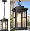 Outdoor Pendant Lights for Porch, Matte Black Outdoor Hanging Lights with Adjustable Chain