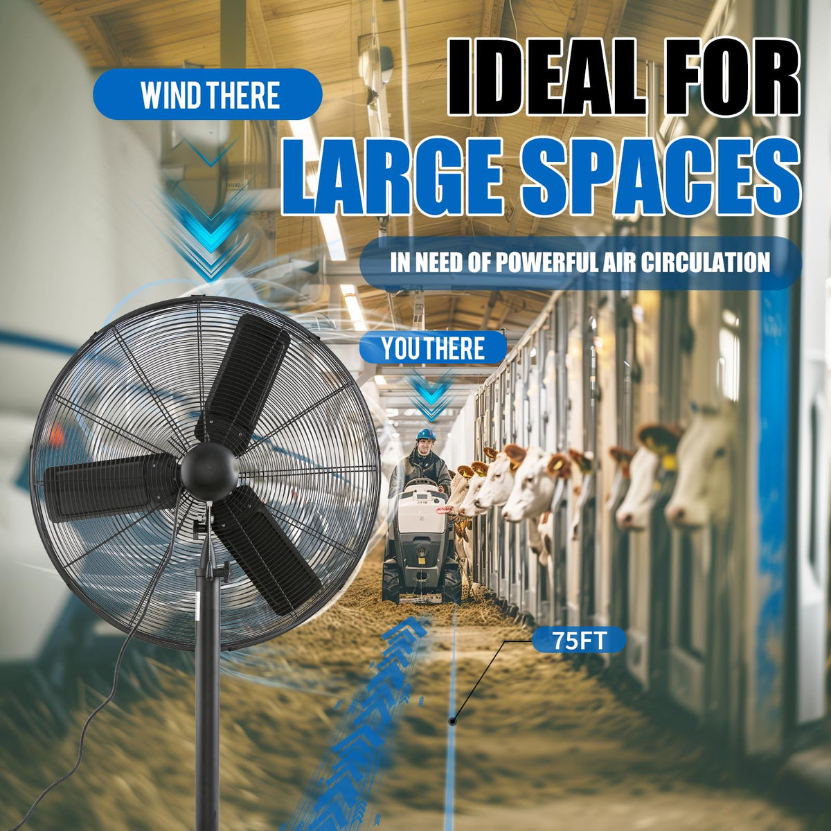 ILG8P30-72 Commercial Pedestal Floor Fan, 30-Inch, Industrial Heavy Duty Floor Standing Fan with 7261 CFM, Perfect