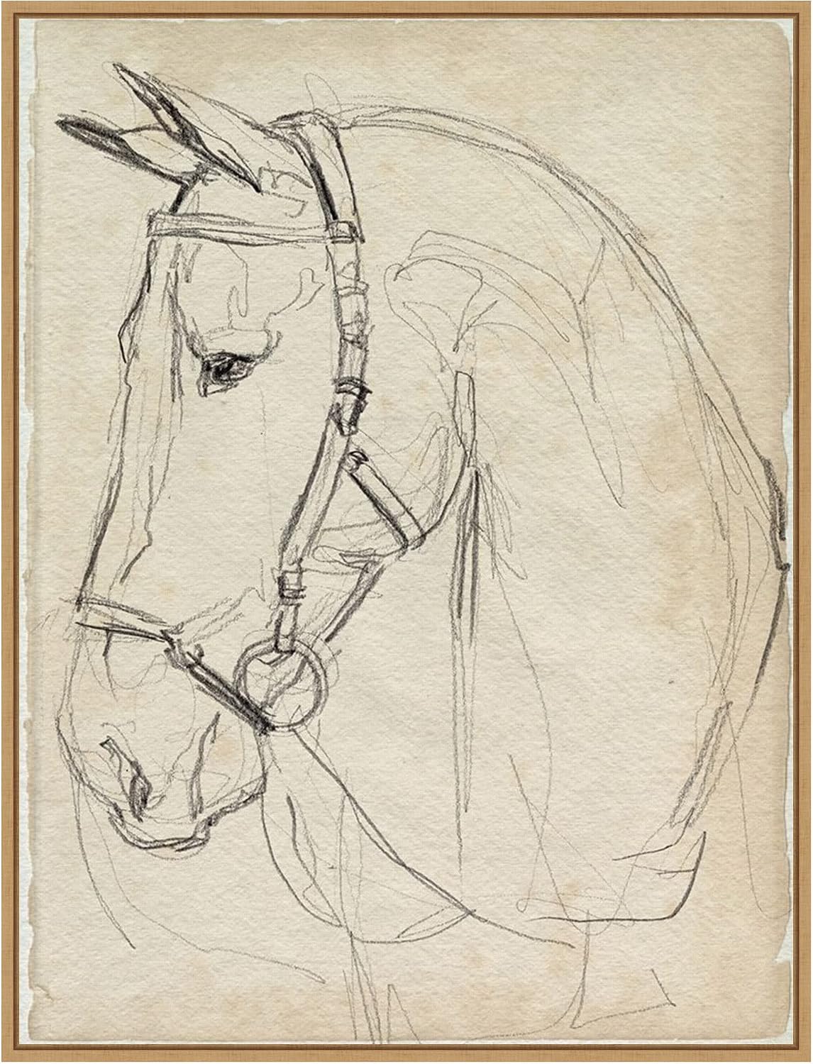 Framed Canvas Wall Art 30x23 Horse in Bridle Sketch II by Jennifer Paxton Parker, Framed Wall Art Canvas, Animals