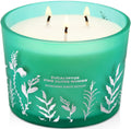 Eucalyptus Pine Clove Scented Candle, 3-Wick Soy Wax, Fresh Forest, 14.5 Oz
